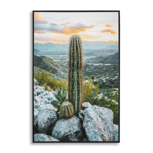 Impression Sur Toile Avec Cadre Cactus, Bois, Multicouleur, 60x4x90 Cm