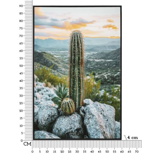 Impression Sur Toile Avec Cadre Cactus, Bois, Multicouleur, 60x4x90 Cm