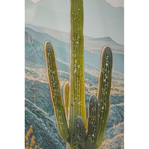 Impression Sur Toile Avec Cadre Cactus 1, Bois, Multicouleur, 60x4x90 Cm