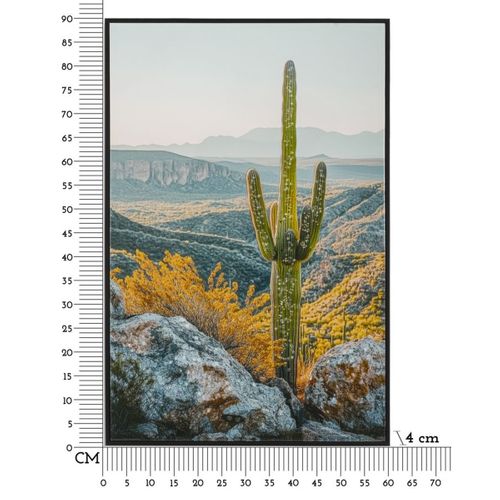 Impression Sur Toile Avec Cadre Cactus 1, Bois, Multicouleur, 60x4x90 Cm