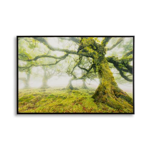Impression Sur Toile Avec Cadre Arbre 3, Bois, Multicouleur, 90x4x60 Cm