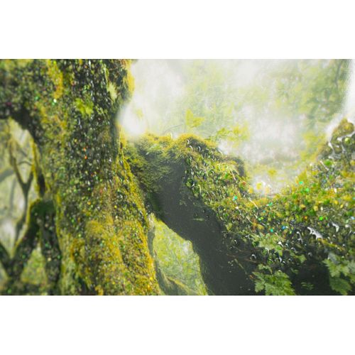 Impression Sur Toile Avec Cadre Arbre 3, Bois, Multicouleur, 90x4x60 Cm