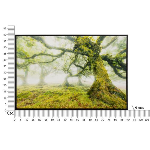 Impression Sur Toile Avec Cadre Arbre 3, Bois, Multicouleur, 90x4x60 Cm