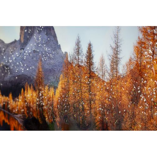 Impression Sur Toile Avec Cadre Alba, Bois, Multicouleur, 90x4x60 Cm