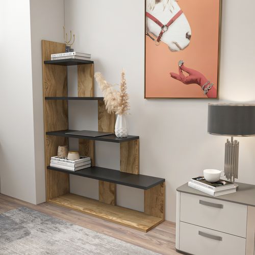 Bibliothèque Échelle 120 Cm Et 5 Étagères, Design Reversible (oud Et Noir)