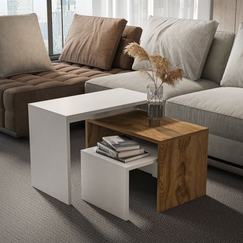 Andro Tables Gigognes Tables Basse Set De 3 Sizes Différents (blanc Et Oud)
