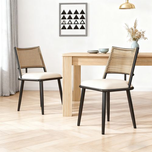 Lot De 2 Chaise Salle à Manger Avec Dossier En Rotin