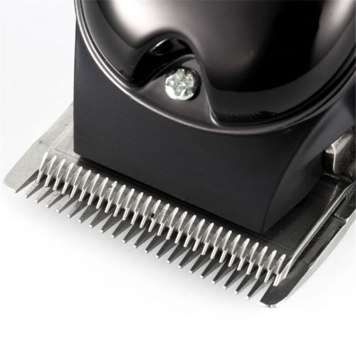 Tondeuse à Cheveux Électrique Multifonctionnelle Avec Interface USB