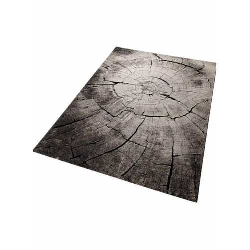 80x150 Tapis Design Et Moderne Rectangulaire Wild Oak Marron