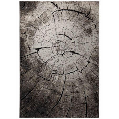 80x150 Tapis Design Et Moderne Rectangulaire Wild Oak Marron