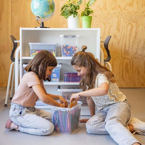 Boîte De Rangement En Plastique Q-line 22 Litres