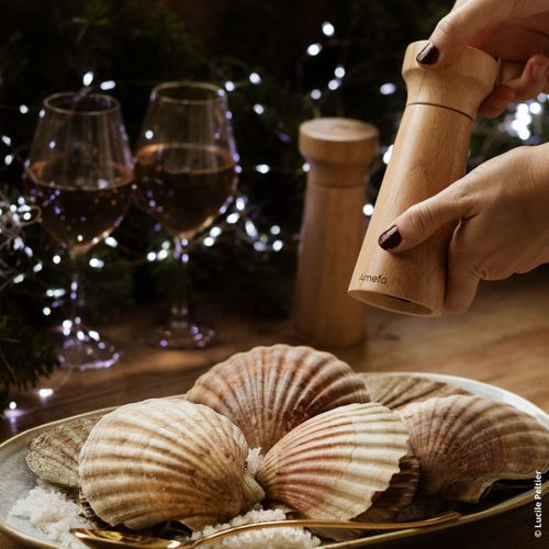 Fanny Bois - Duo De Moulins Poivre et Sel