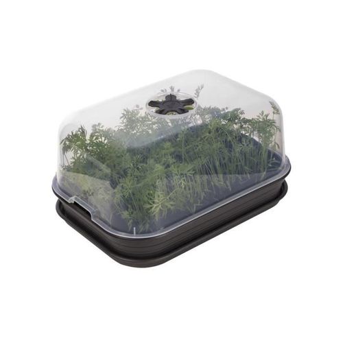 Green Basics Set De Cult Allin1 Living Noir