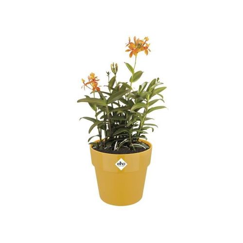 Pot de fleurs B.for Original Rond Roues 35 Ocre