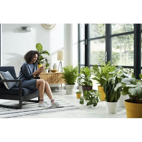 Pot de fleurs B.for Original Rond Roues 35 Ocre