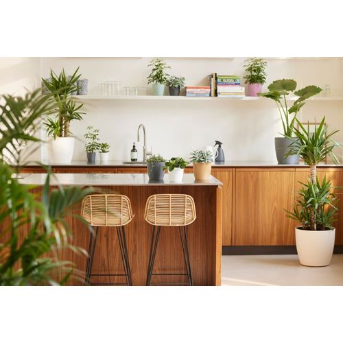 Lot De 2 Pots De Fleur Rond brussels - 17 L - Ø 25,1 X H 23.2 Cm - Noir