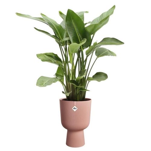 Pot De Fleur - Vibes Fold Coupe - Rose - L 30 X B 29.5 X H 45 Cm - Intérieur - 100% Recyclé