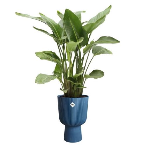 Pot De Fleur - Vibes Fold Coupe - Bleu - L 30 X B 29.5 X H 45 Cm - Intérieur - 100% Recyclé