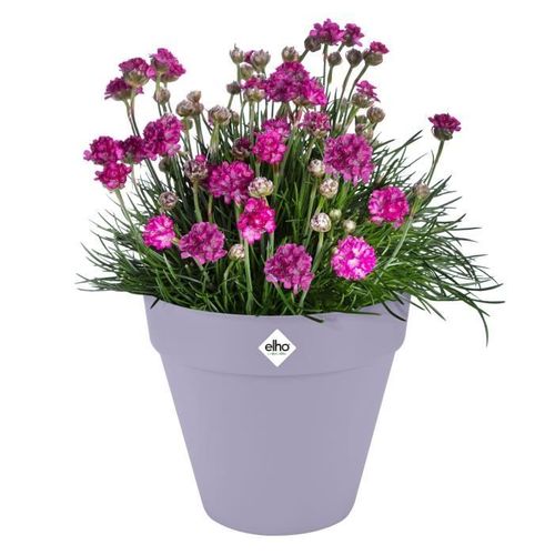 Pot De Fleur - Loft Urban Rond - Roues 40 - Violet - L 39x B38.5x H35cm - Extérieur - 100% Recyclé