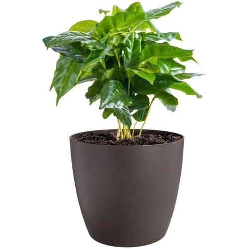 Lot De 3 Pots De Fleur Rond the Coffee Collection - Ø14xh12,6cm, Ø16xh14,7cm, Ø18xh16,8 Cm - 7 L -