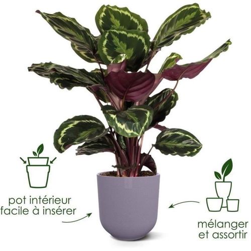 Lot De 3 Pots De Fleur Rond jazz - Ø14xh13,1, Ø16xh15,3, Ø19xh17,6 Cm - 7 L - Lila Et Blanc