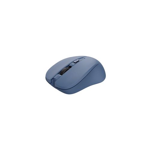 Souris Trust 25041