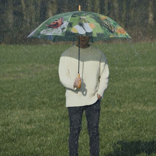 Parapluie Butterflies 120 Cm Tp211