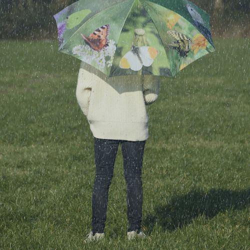 Parapluie Butterflies 120 Cm Tp211