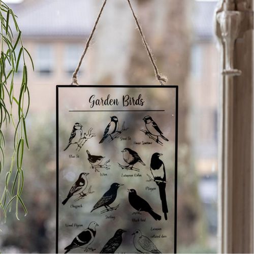 Tableau En Verre Oiseaux Du Jardin