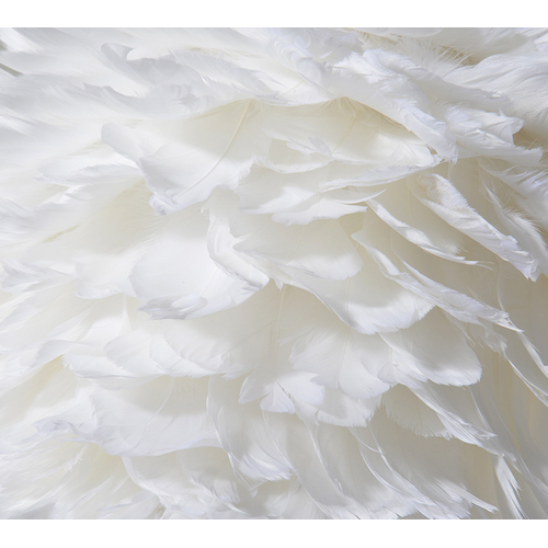 Lustre D'intérieur Moderne 30cm Lampe à Suspension Romantique Suspension Luminaire En Plumes