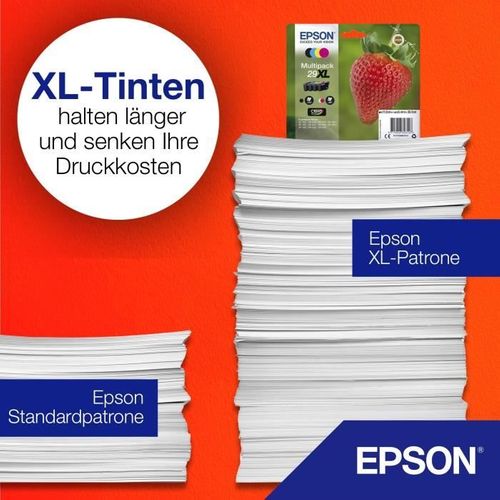 Cartouche N° 29 - C 13 T 29814012