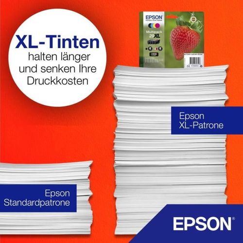 Epson C 13 T 29864012