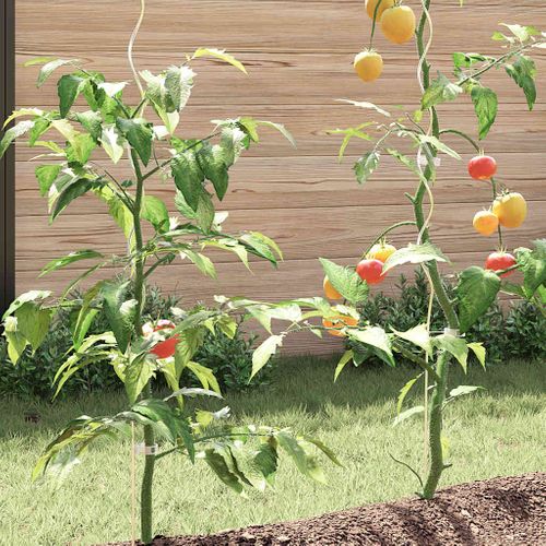 Supports De Plantes En Spirale 20 Pièces Acier Galvanisé 170 Cm