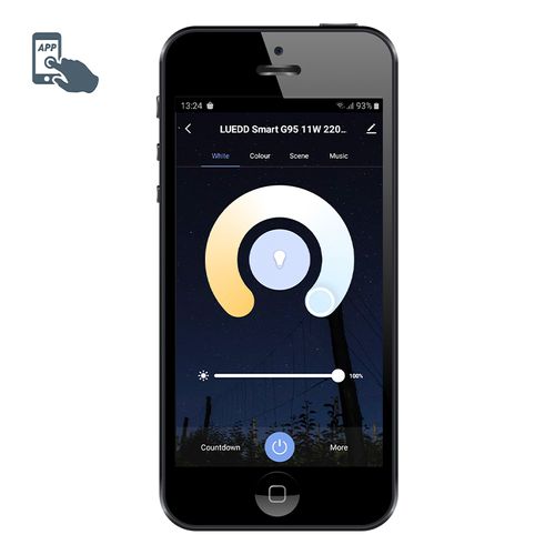 Ampoule LED Intelligente E27 à Intensité Variable G95 11w 900lm 2200-4000k Rgb