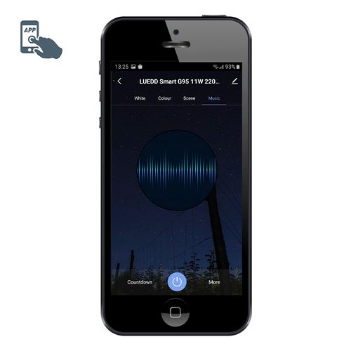 Ampoule LED Intelligente E27 à Intensité Variable G95 11w 900lm 2200-4000k Rgb