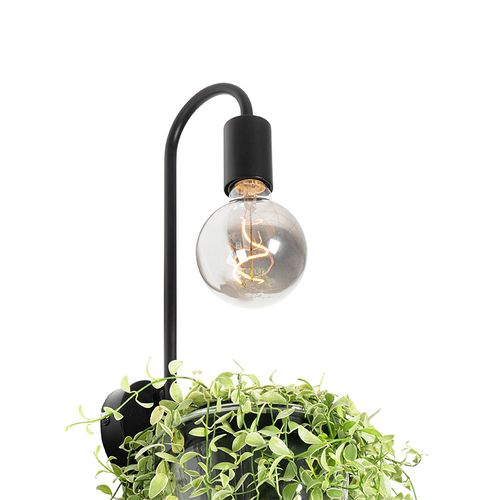 Applique Moderne Noire Avec Verre - Roslini