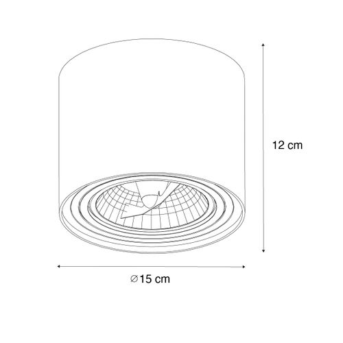 Spot De Plafond Moderne Noir Rotatif Et Inclinable Ar111 - Rondoo Up
