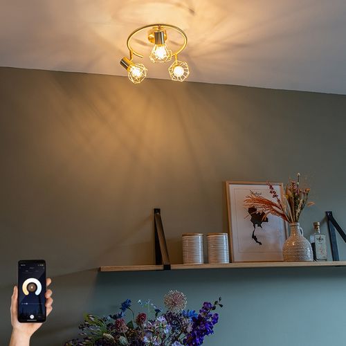 Spot Encastré Intelligent Orientable Et Pivotable En Laiton Avec 3 Puces Wi-fi P45 – Mosh