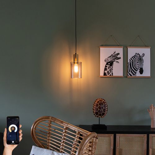 Lampe Suspendue Intelligente En Laiton Avec Verre Fumé Avec Wifi A60 - Vidra