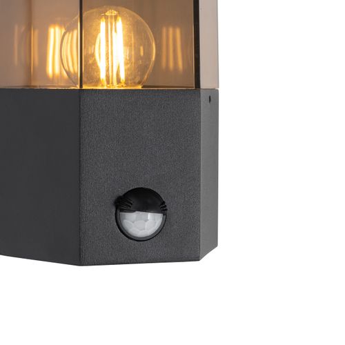 Applique Murale D'extérieur Noire Avec Verre Fumé Hexagonal Et Détecteur De Mouvement - Danemark