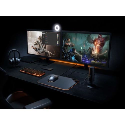 Ssd Externe Gaming Firecuda 500go Usb-c Nvme (stjp500400)