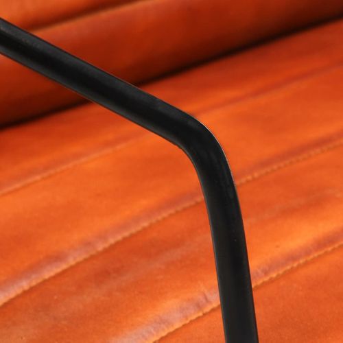 Fauteuil Brun Roux Cuir Véritable