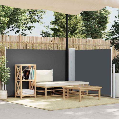 Auvent Latéral Rétractable Anthracite 100 X 600 Cm