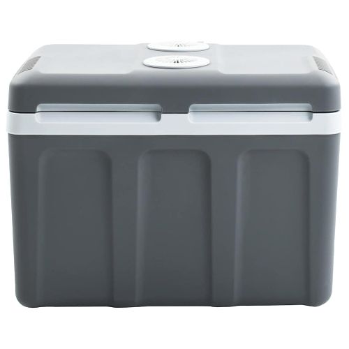 Glacière Portable Thermoélectrique 40 L 12 V 230 V E