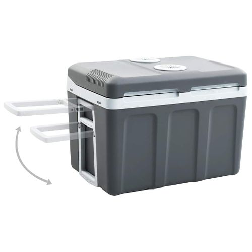 Glacière Portable Thermoélectrique 40 L 12 V 230 V E
