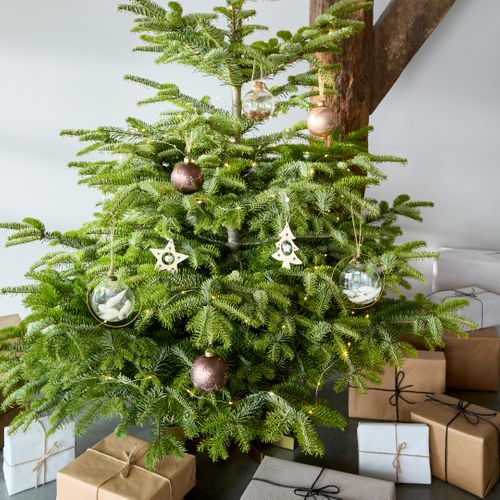 Boule fleurs séchées Ø 13 cm FLEURS SECHEES Transparent