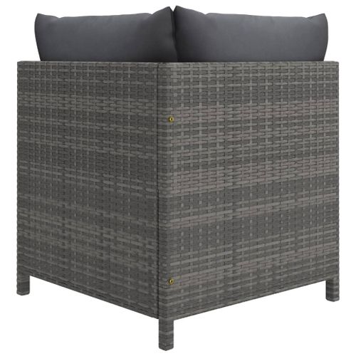 Canapé De Jardin à 2 Places Avec Coussins Gris Résine Tressée