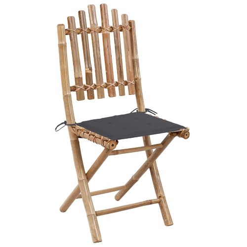 Chaises Pliables De Jardin 2 Pièces Avec Coussins Bambou