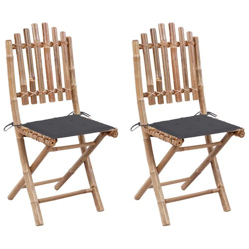 Chaises Pliables De Jardin 2 Pièces Avec Coussins Bambou