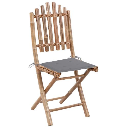 Chaises Pliables De Jardin 2 Pièces Avec Coussins Bambou